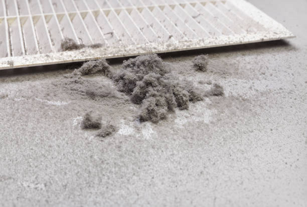 Best Air Vent Cleaning Services  in East Niles, CA