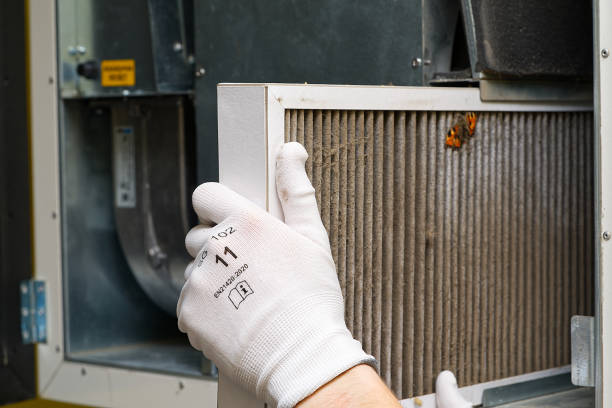 Best Residential Air Duct Cleaning  in East Niles, CA