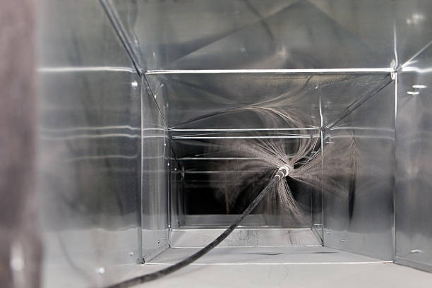 Best Professional Duct Cleaning Services  in East Niles, CA