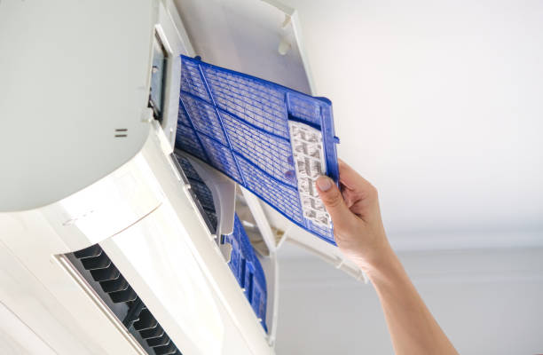 Best Affordable Duct Cleaning Services  in East Niles, CA