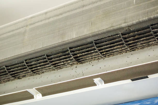 Best Ventilation Cleaning Services  in East Niles, CA