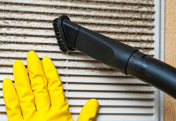 Best HVAC Duct Inspection Services  in East Niles, CA